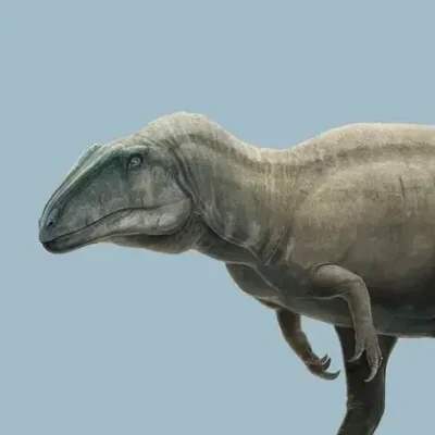 Acrocanthosaurus: The High-Spined Lizard