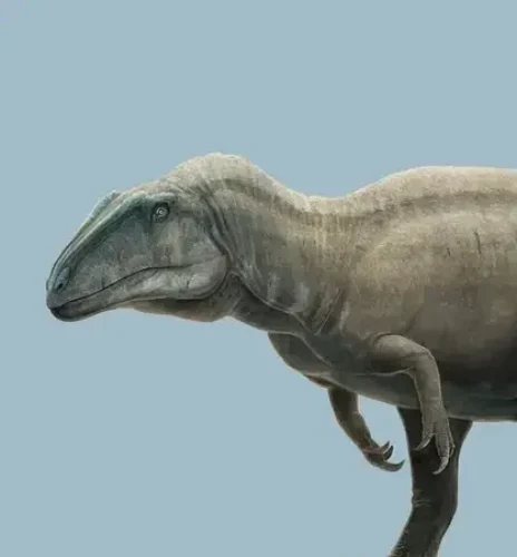 Acrocanthosaurus: The High-Spined Lizard