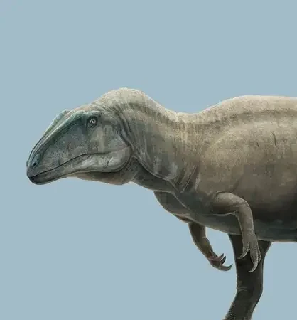 You are currently viewing Acrocanthosaurus: The High-Spined Lizard