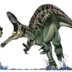 Suchomimus: The Crocodile Mimic