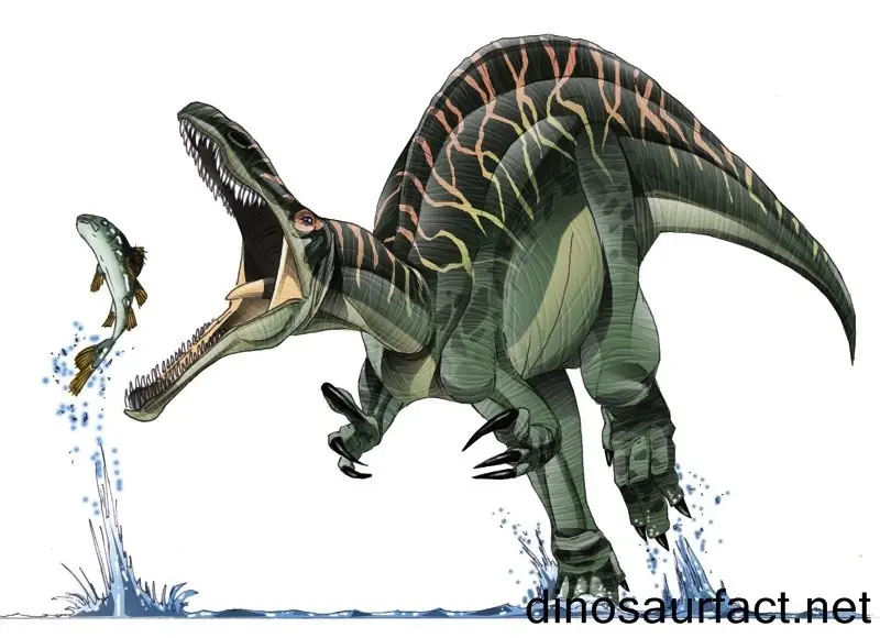 You are currently viewing Suchomimus: The Crocodile Mimic