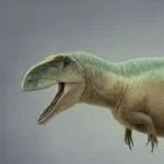 Tyrannotitan:  The Southern Titan