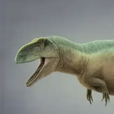 Tyrannotitan:  The Southern Titan