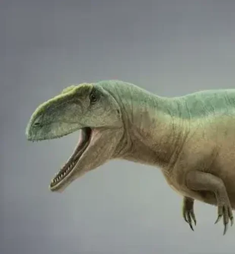 Tyrannotitan:  The Southern Titan