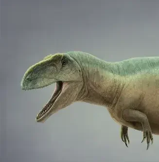 You are currently viewing Tyrannotitan:  The Southern Titan