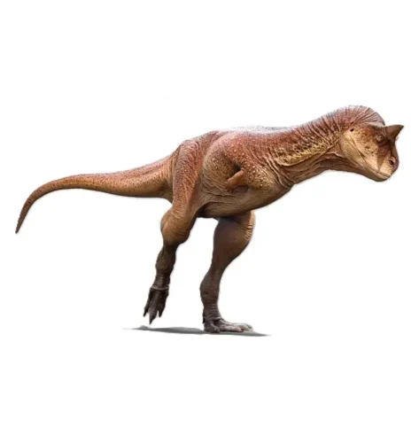 Carnotaurus: Did It Have Arms At All?