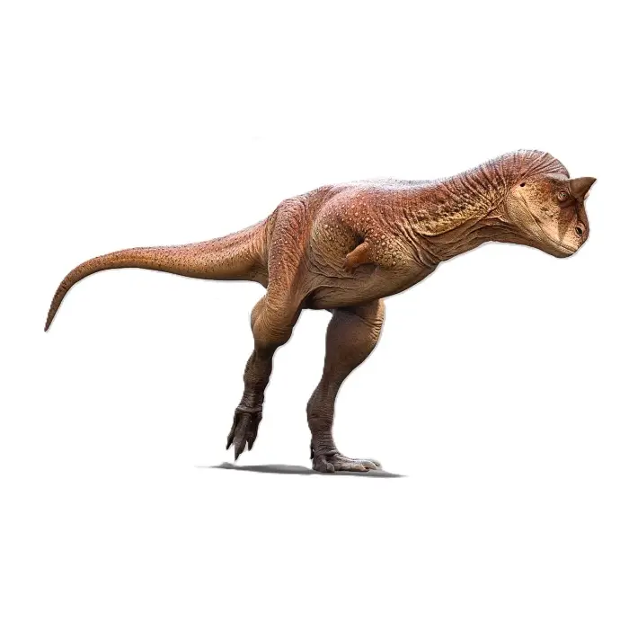 Carnotaurus: Did It Have Arms At All?